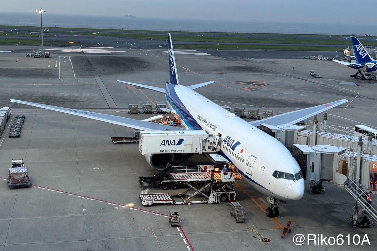 Blue751A's tweet photo. #ANAを愛でる会
今年乗った機体たち https://t.co/tAD1kMjyIF