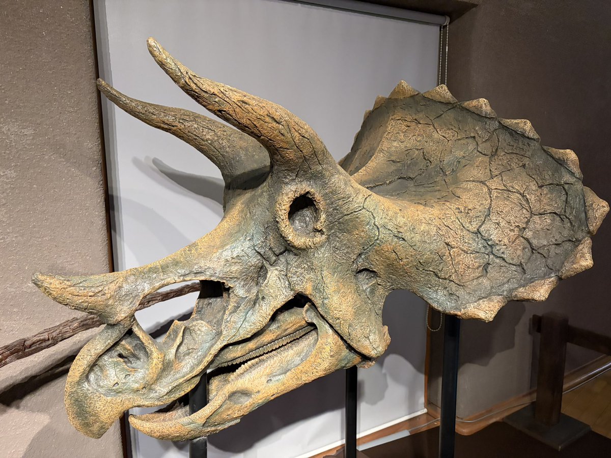 Takepanda02's tweet photo. 群馬県立自然史博物館行ってきた
恐竜人間が見れて満足 https://t.co/7ViZEWvMrK