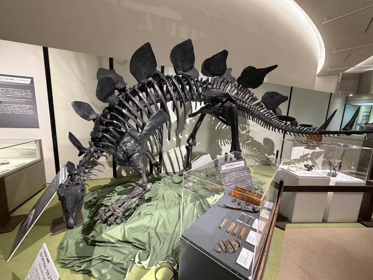 Takepanda02's tweet photo. 群馬県立自然史博物館行ってきた
恐竜人間が見れて満足 https://t.co/7ViZEWvMrK