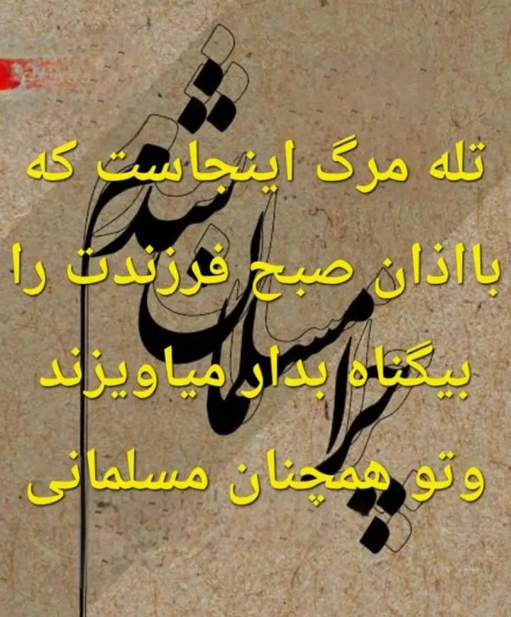وطن پرست tweet media