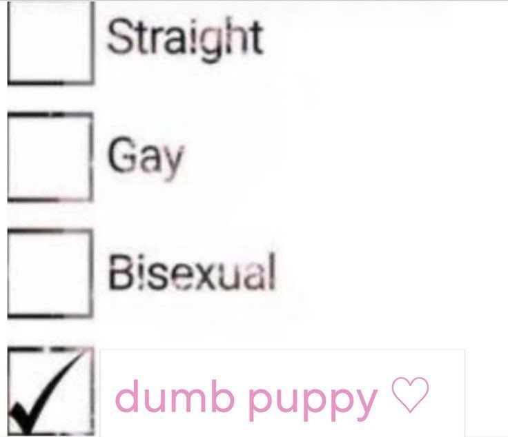 squishy tweet media
