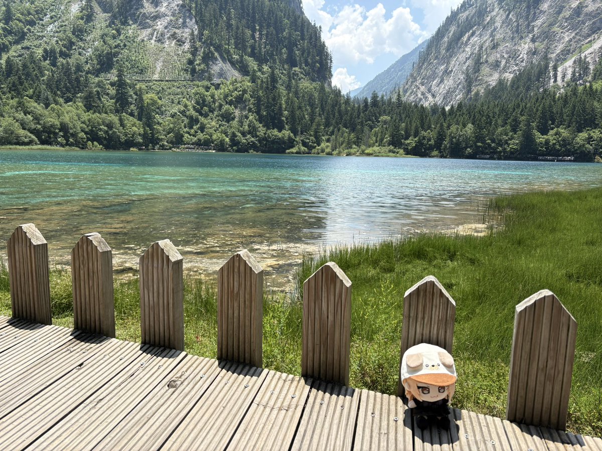YoRiko5155's tweet photo. Jiuzhaigou.⛰️🔵🟢 https://t.co/Myhbk18893