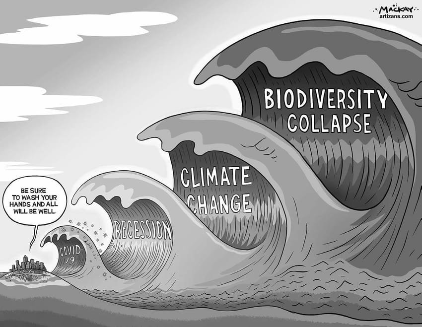ranjanpanda's tweet photo. Today's #ClimateGyan in one image! #46
Treating Symptoms Won't Save the System
The cartoon says more than a thousand reports ever could.
When COVID-19 struck, the world rushed to treat the immediate crisis. Soon after came the economic recession. But looming behind them, far larger and far more consequential, are the twin emergencies of climate change and biodiversity collapse. These are not isolated crises. They are deeply interconnected symptoms of a larger systemic failure in the way we govern, produce, consume, and coexist with nature.
Whenever we seek to strengthen a societal, institutional, or ecological system - or prevent it from becoming corrupt, ineffective, or collapsing altogether - we must first understand the system as a whole.
Real solutions demand a whole-of-society, whole-of-government, and whole-of-ecosystems approach. They require breaking down silos, integrating science with policy, empowering communities, and recognizing that human well-being, economic stability, and ecological integrity are inseparable.
We often spend enormous time and resources treating symptoms:
* Floods? Build higher embankments.
* Heatwaves? Install more air-conditioners.
* Water scarcity? Drill deeper borewells.
* Disease outbreaks? Strengthen hospitals.
Necessary? Yes. Sufficient? No.
Unless we address the root causes - unsustainable development, ecosystem degradation, poor governance, pollution, and our relentless extraction of nature - we will keep chasing one crisis after another, each larger than the last.
A resilient future cannot be built by reacting to emergencies alone. It must be built by understanding the interconnectedness of our challenges and acting on them with systems thinking.
If we continue treating only the symptoms, we may survive today's crisis - but we will inherit tomorrow's collapse.
~ Ranjan Panda
25 July, 2026
#SystemsThinking #ClimateChange #Biodiversity #Resilience #NatureBasedSolutions #Sustainability #WholeOfSociety #WholeOfGovernment #WholeOfEcosystems #RanjanPanda #CombatClimateChangeNetwork #WaterInitiatives #MahanadiRiverWaterkeeper #Youth4WaterIndia
@WaterInitiativ1 @Youth4WaterIn @MahanadiRiver @Waterkeeper