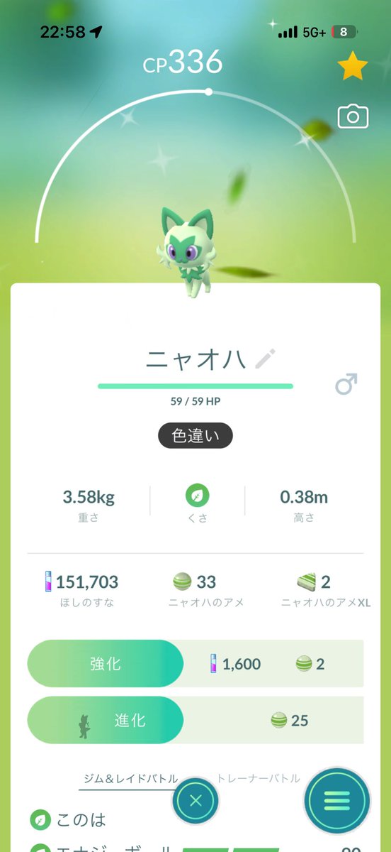 猫の爪 tweet media