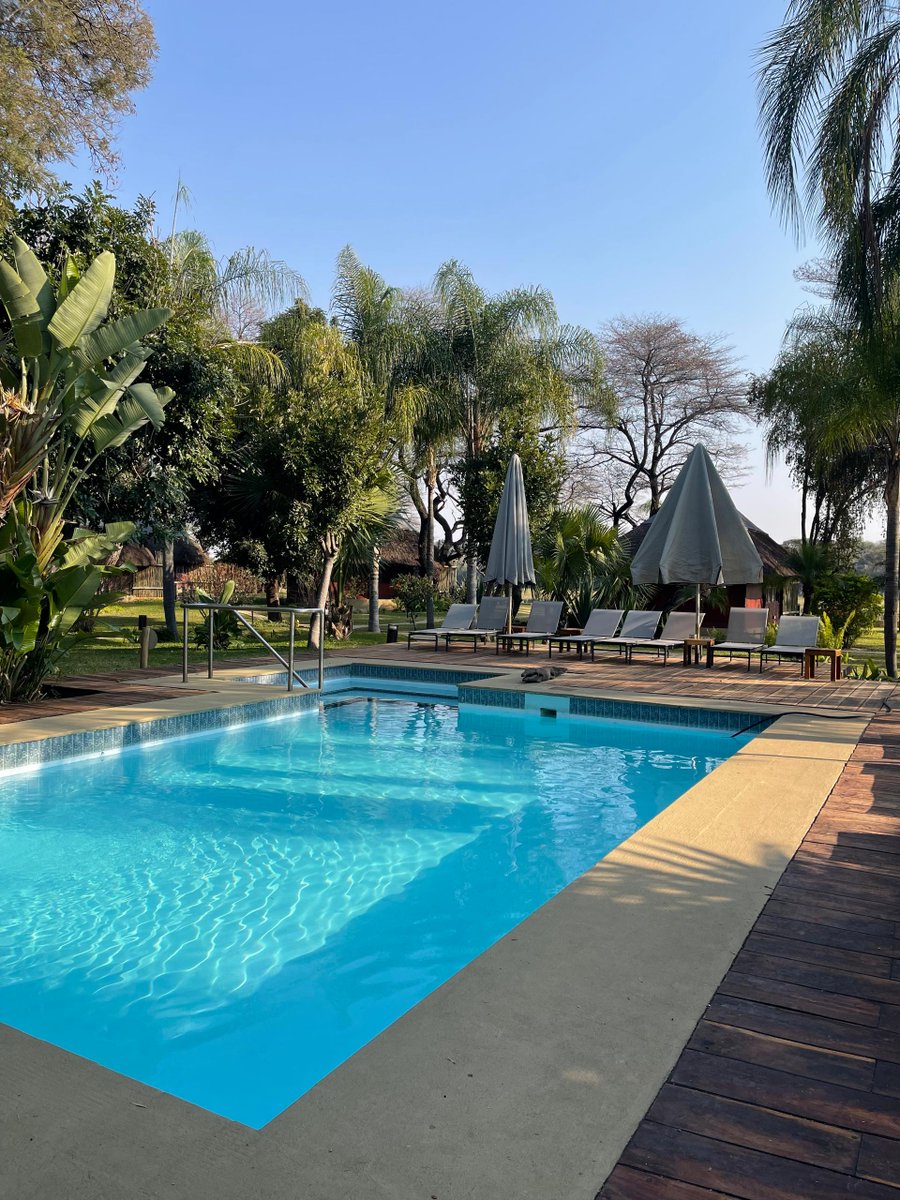GondwanaLodges's tweet photo. Take in the warmth, unwind by the pool, and let Hakusembe River Lodge do the rest. https://t.co/wVXecyMa10
📸: Terttu
#HakusembeRiverLodge #GondwanaCollection #VisitNamibia #RiversideEscape #PoolsideRelaxation #TravelNamibia #DiscoverNamibia https://t.co/Dz7d8hCKnD