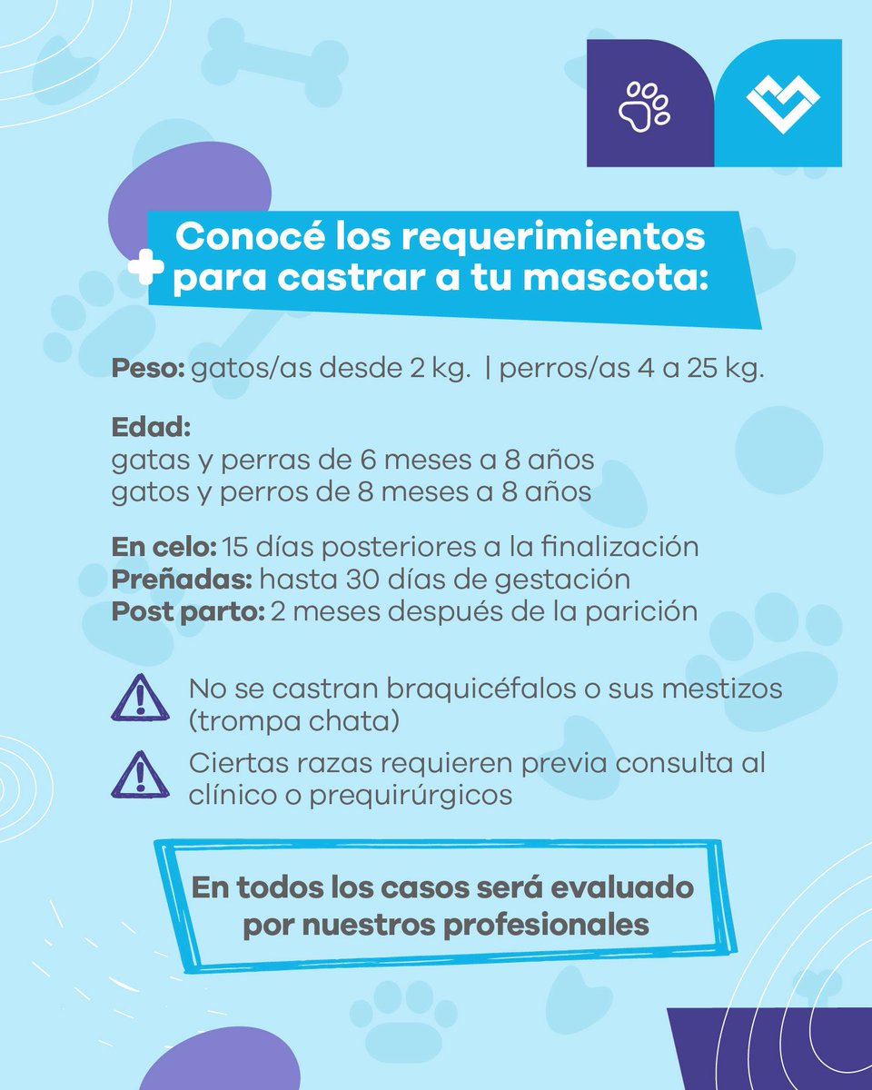lanusmunicipio's tweet photo. 🐶 QUIRÓFANO MÓVIL 😸

Te esperamos en el 📍 Parque Municipal General San Martín (Cnel. Sayos 2302, Valentín Alsina)

✅ El lunes 27 de julio, desde las 09:00, estaremos entregando turnos para castración de manera presencial hasta agotar cupos.

💉 También vas a poder acercarte con tu mascota de lunes a viernes, de 09:00 a 12:00, para recibir su vacuna antirrábica anual.

#LaCiudadQueNosMerecemos 🩵