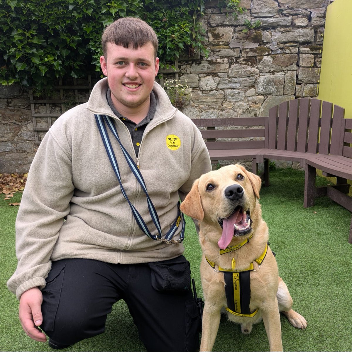 DT_WestCalder's tweet photo. Dexter is a lovely, playful boy who is looking for a fun, loving family. 🐾

In true lab style, he loves his food and will happily settle by himself with a filled frozen kong or a long lasting treat. 😋

He loves to play with other dogs who match his playful, bouncy energy and could live with another dog, pending a successful meet. ✨🐶

Check out his profile 👉: https://t.co/KXXlgfGZjg

#ADogIsForLife
#AdoptDontShop
#DogsTrust
@DogsTrust
