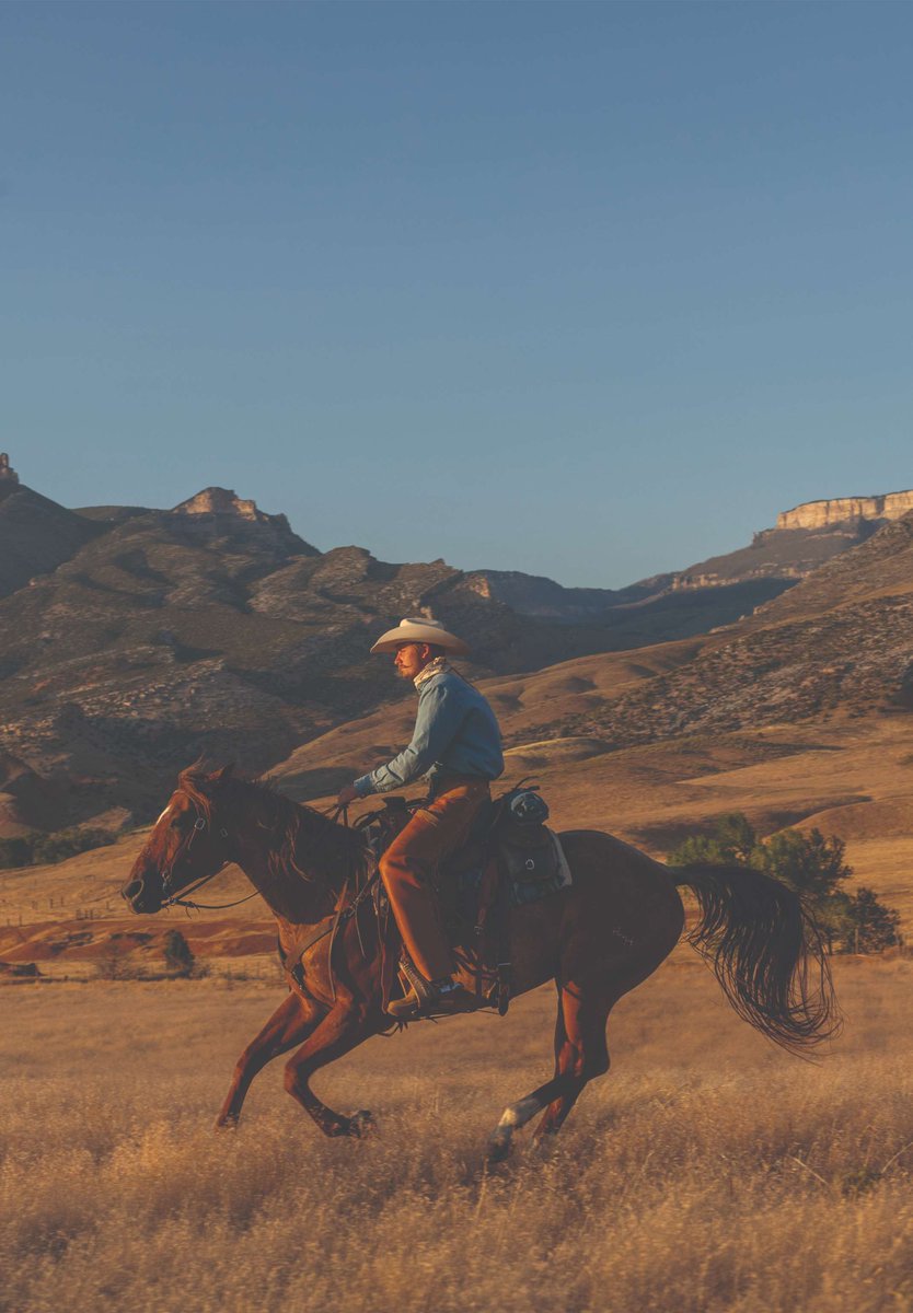 CI_Magazine's tweet photo. 🤠 Happy National Day of the Cowboy!

The cowboy isn't just a symbol of the American West — it's a legacy of grit, resilience and an enduring respect for the land. For years, the enduring spirit of the cowboy has inspired the stories we tell at C&I, and we're proud to celebrate the people and traditions that keep that legacy alive.

Here's to those who carry the tradition forward and to everyone who finds freedom where the trail meets the sky.

📷: @sbaxterphoto