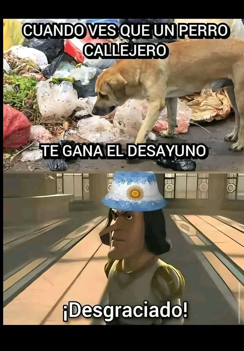 Alicia Alejandra Kaczynski ❤️❤️❤️ 🇲🇽🇪🇦 tweet media