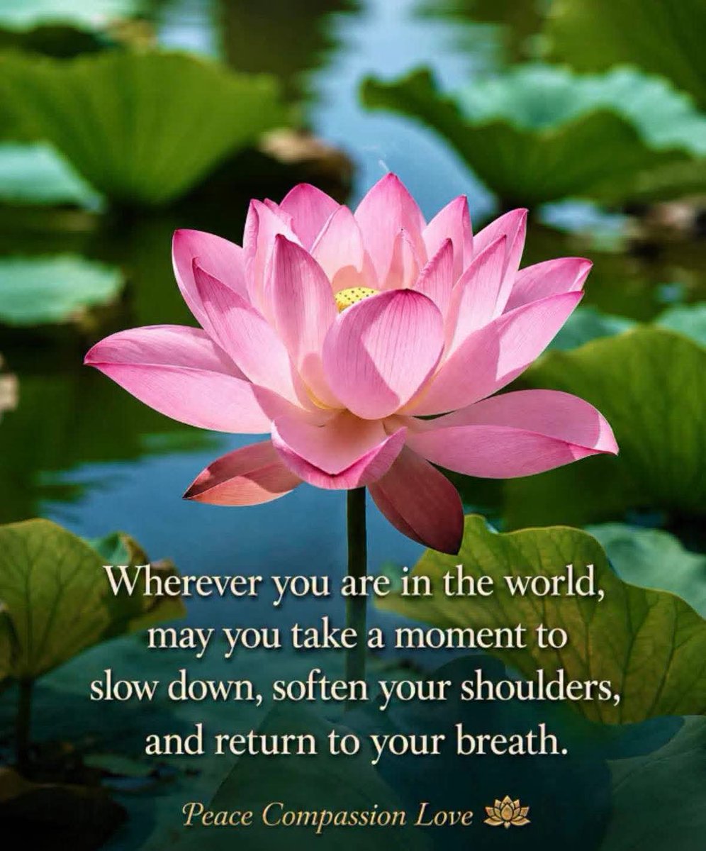 Heather38404643's tweet photo. @SiRichens Good days to all.Thanks for Amazing Guided Meditation 🧘‍♀️ ✨️ https://t.co/fbjjVVDnWL