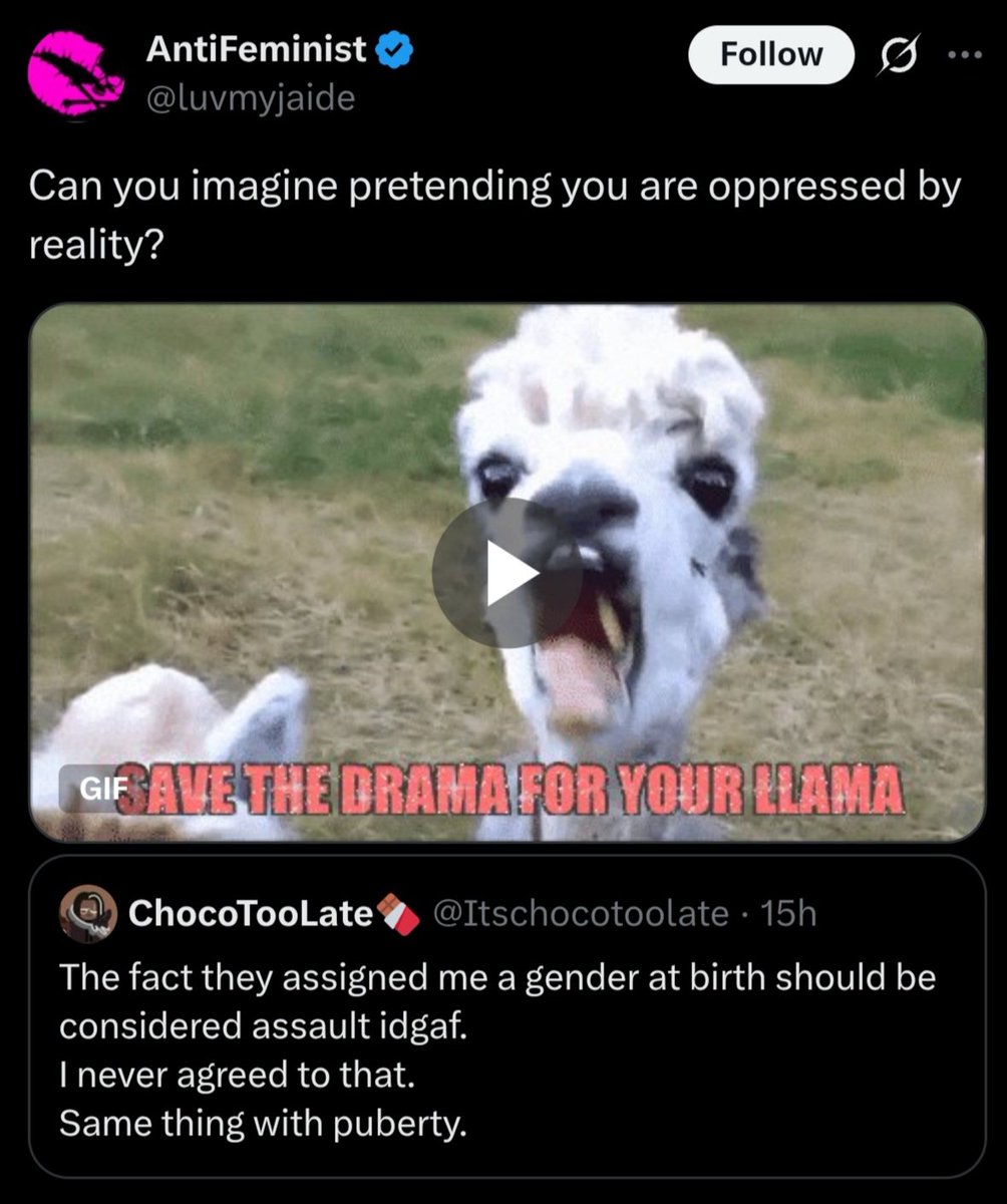 ChocoTooLate🍫 tweet media