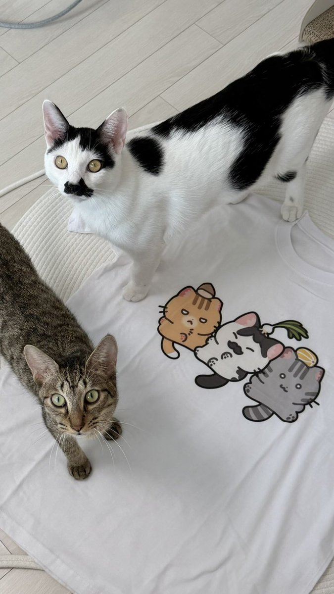 happyMOMODDA's tweet photo. https://t.co/8yhV6O0esC