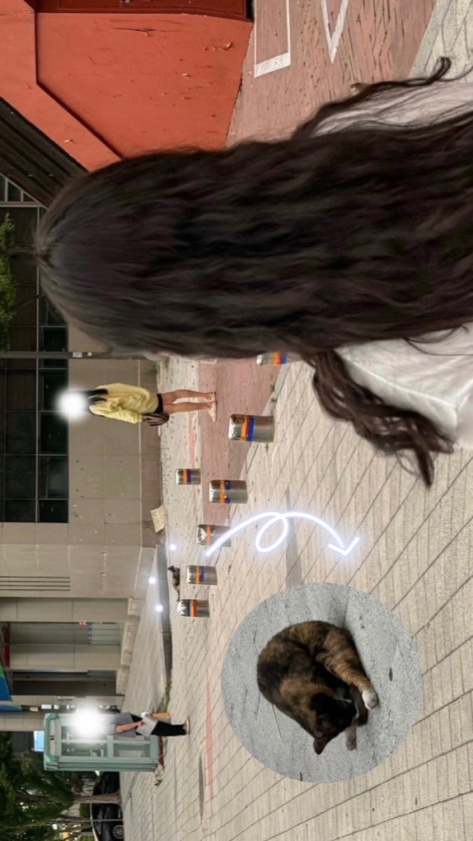 happyMOMODDA's tweet photo. https://t.co/8yhV6O0esC