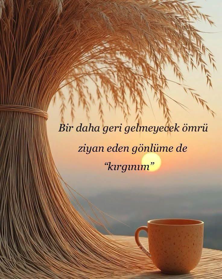 Olcay_M_80's tweet photo. Fedakârlığın NE #Kadar ...!!
#Büyük Olursa OLSUN #Günün Sonunda ...!!
Şu #Cümleye Yenilirsin #YAPMASAYDIN ….
#Günakşam’da
#iyiakşamlar https://t.co/ngjtCqP1F5