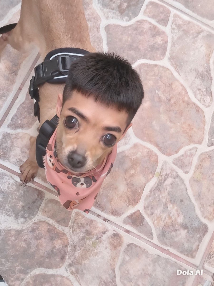 ɹǝuǝʇǝǝʍs payola ☾ tweet media