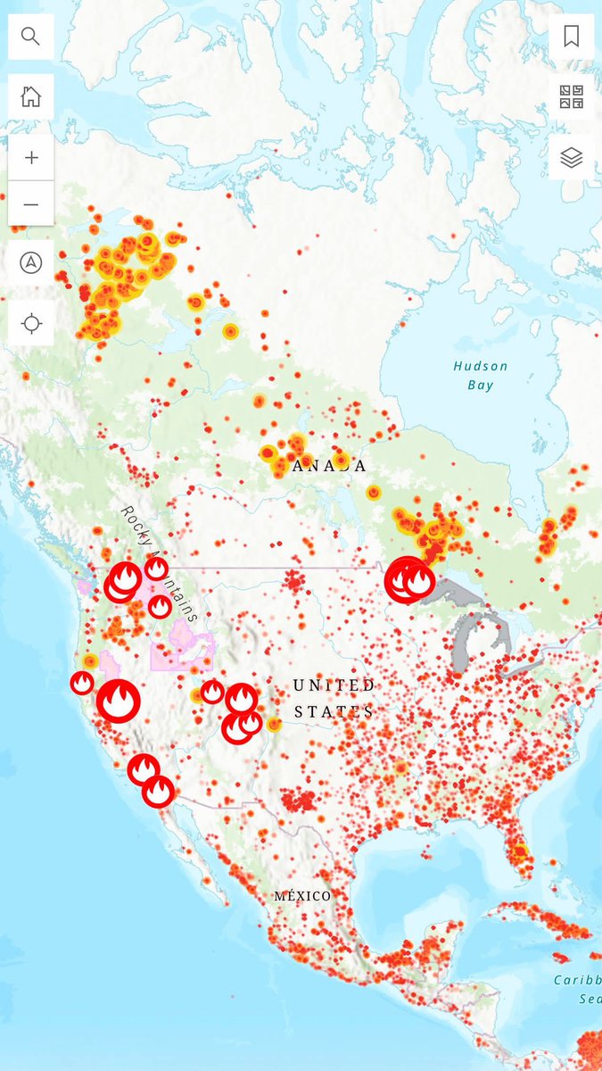 LinusEkenstam's tweet photo. It’s literally everywhere. 
FYI, This is NOT normal. https://t.co/ih2ZUlcxlC
