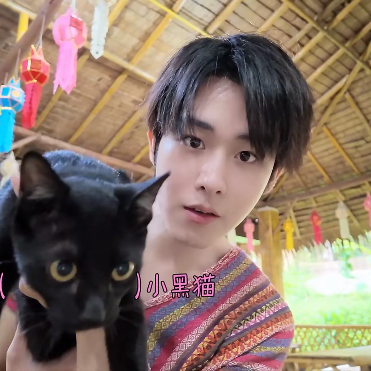 koonuu85's tweet photo. นี่ เธอดูน้องสิ น่ารักไหม

น่ารัก

ขนนุ่มด้วย จับสิ

อือ นุ่มดี

ให้จับแมวนะ มาจับแก้มเค้าทำไม

จับผิด เห็นเป็นแมวเหมือนกัน https://t.co/khxUHV5GhC