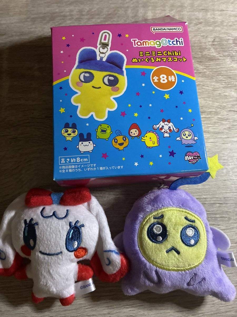 aminami0707's tweet photo. この子達でした💕 https://t.co/HUZbopELlp