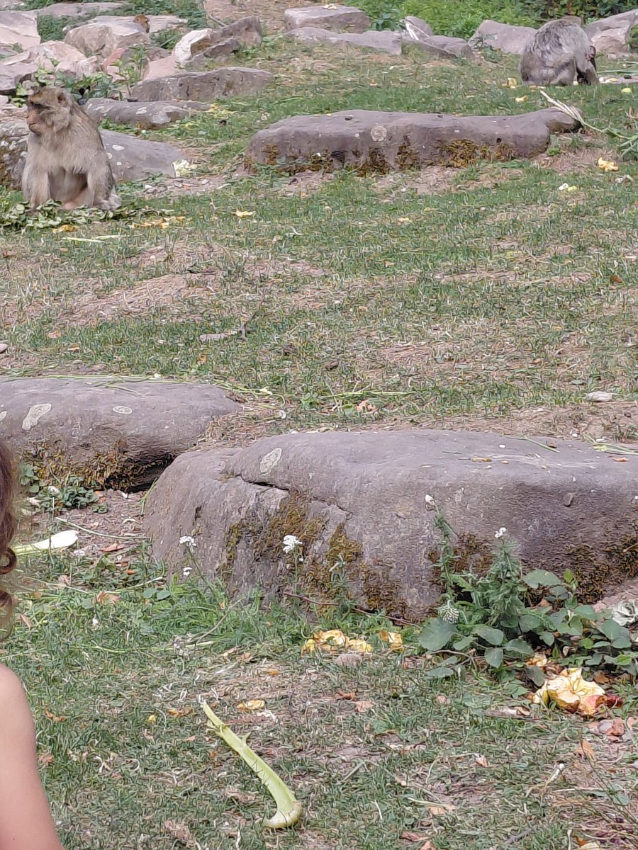 Vaiko6757's tweet photo. #montagnedessinges @BabyLucx72 little passe un bon momebt en diappe🧷🍼😊🥰 #ABDL https://t.co/0H3TARIbuQ