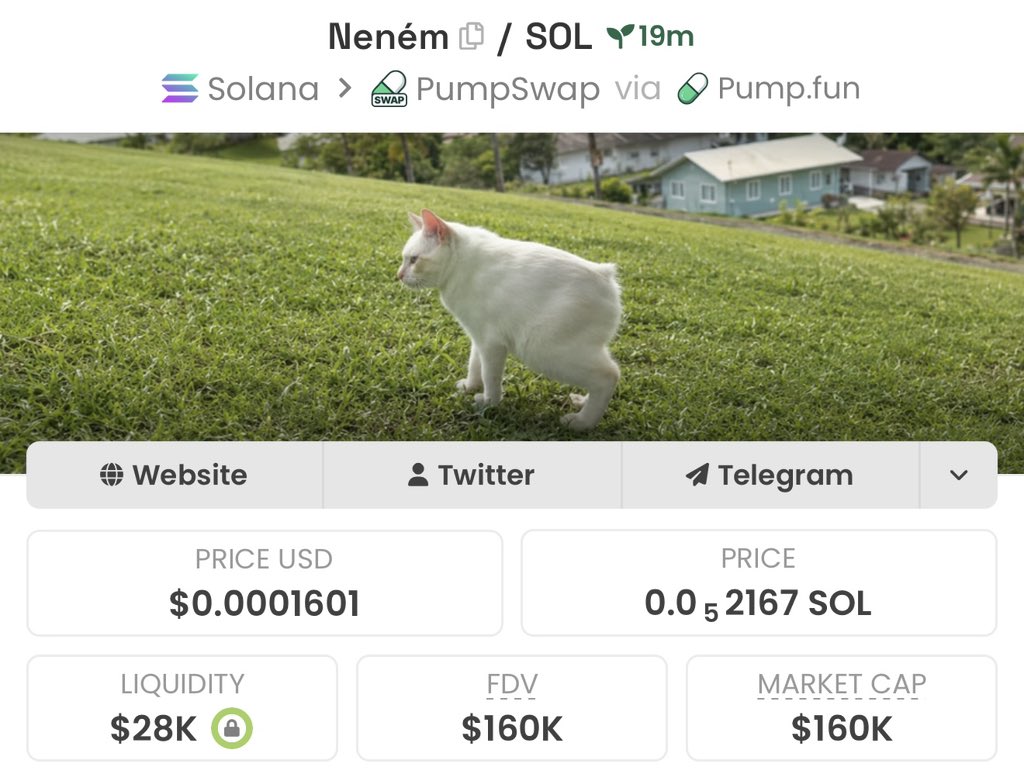 defiiOverlord's tweet photo. Bought $Nenem at $160K MCAP!

Token addy below ⬇️ 

GPJZWSVZpYsRxuzhv1DKDGTmawPgSxUSd6fpja7Tpump

#Nenem #crypto #altcoins https://t.co/KkJwPosT5U