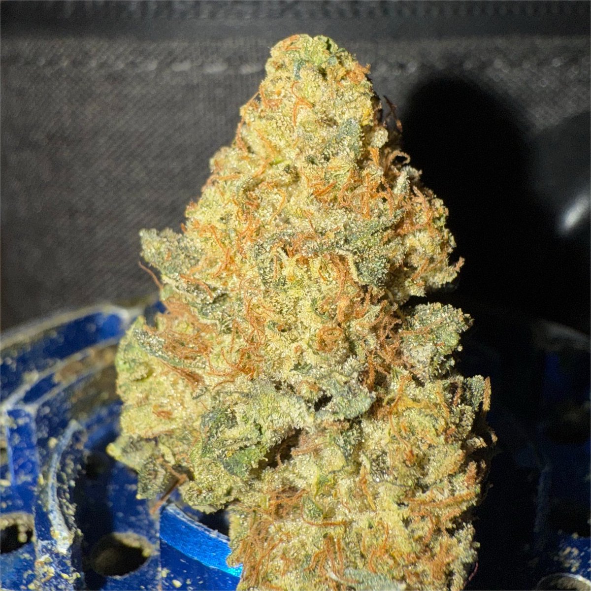 BiigSmoke710 tweet picture