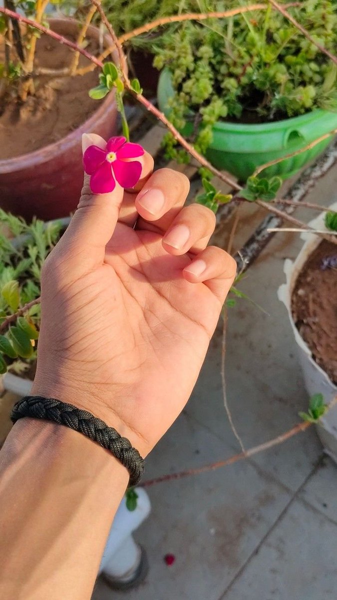 RaffTags's tweet photo. Sometimes you just gotta take a short breather 🌺 https://t.co/QgFNfEHP3o