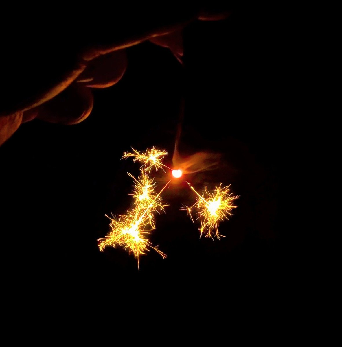 ykm55hrthk's tweet photo. 線香花火🎇 https://t.co/c9DVGD8pGi