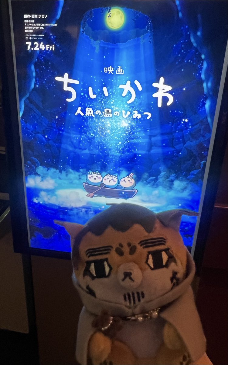 しろみ𓆝 tweet media