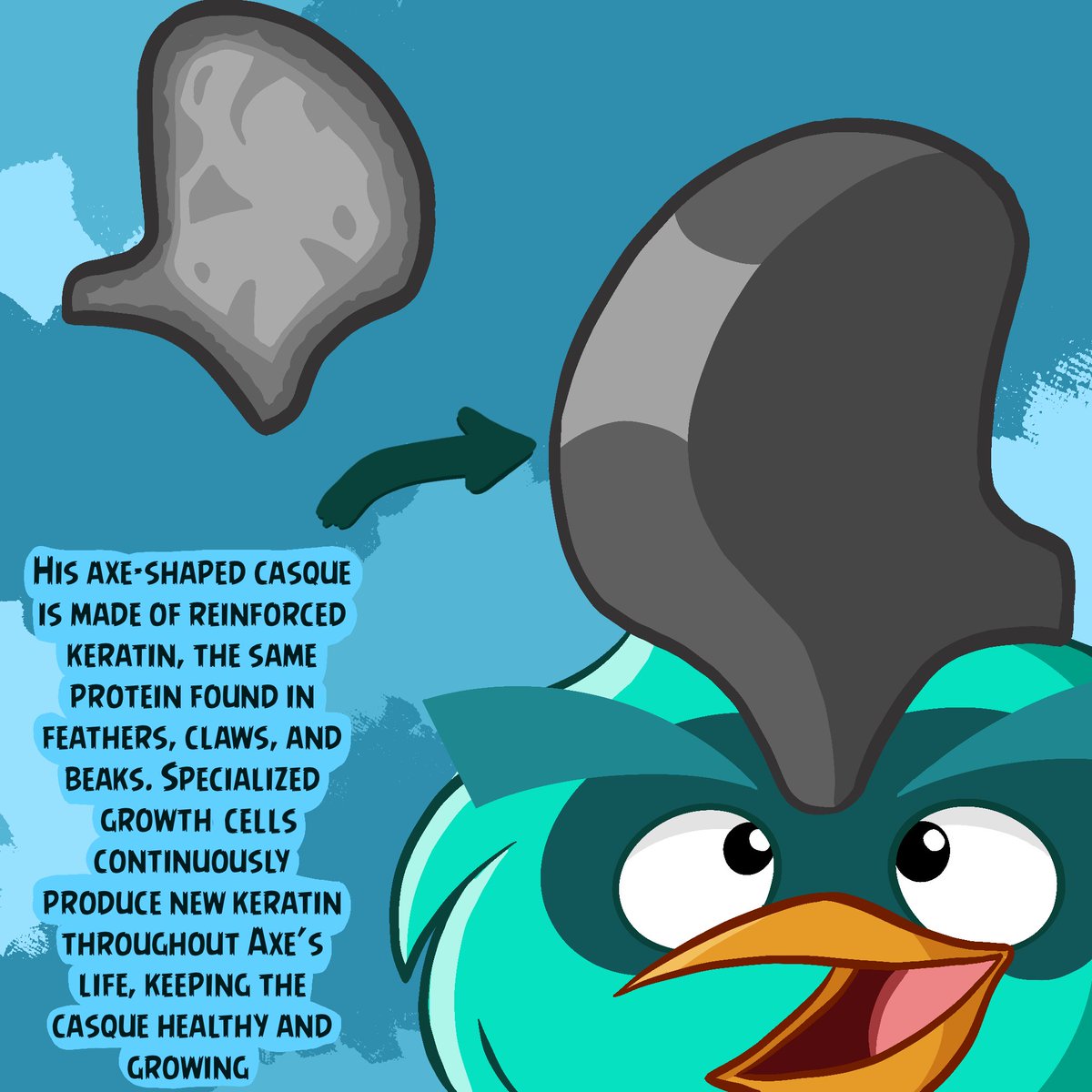 AxeBirdd's tweet photo. 🪓 Axe Fact #5 
Axe’s casque is made of reinforced keratin, a specialized form of the same protein found in feathers, claws, and beaks. It continuously grows new keratin layers throughout his life.
#angrybirds #angrybirdsoc #fanart https://t.co/JBclI4zYio