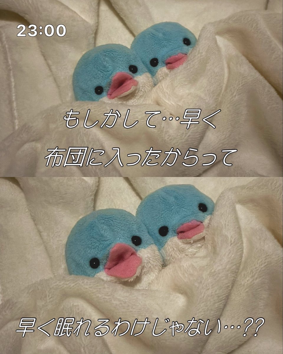 lady_chisaine's tweet photo. 真理に気づく🐬 https://t.co/c0zubfKEqf