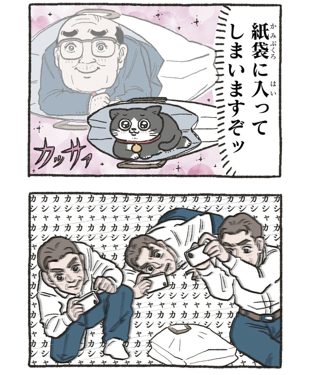 yajima_en's tweet photo. ねこさんあるある、紙袋🛍️

ねこおじ再放送🐱 https://t.co/znYNprKWur