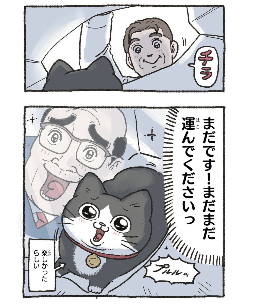 yajima_en's tweet photo. ねこさんあるある、紙袋🛍️

ねこおじ再放送🐱 https://t.co/znYNprKWur