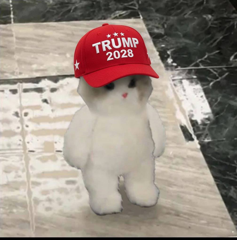 roundtripdabags's tweet photo. Trump 2028 anyone? Gmiu https://t.co/M44SW1IpZG
