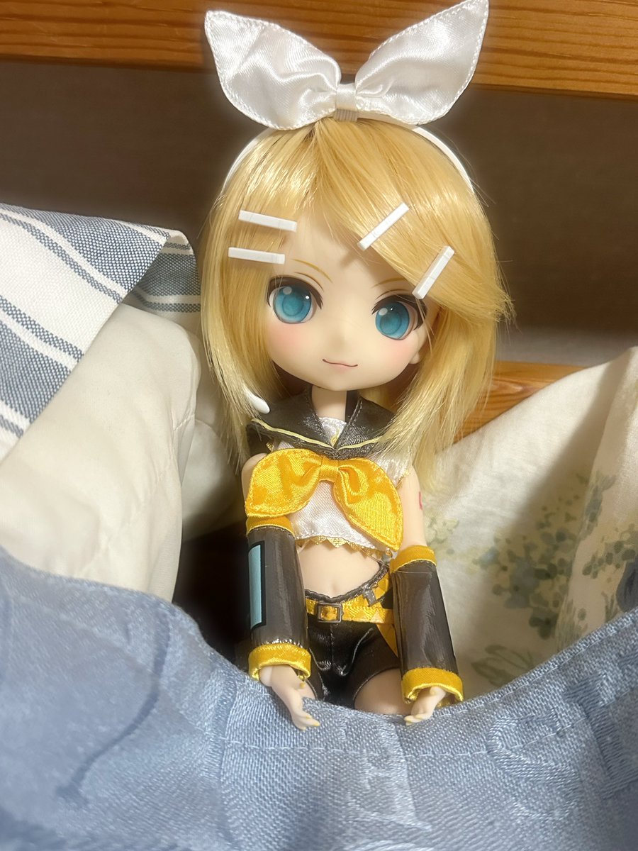 Kan0nsan's tweet photo. おやすみなさい〜！ https://t.co/6xpDlHVbKR