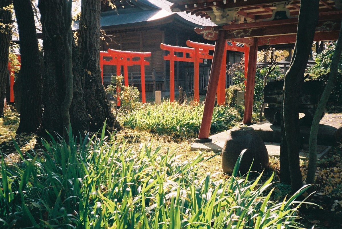 Daisuke_9taro's tweet photo. 4年前にフィルムで撮った写真がでてきた
#konicac35 #kodaki60 https://t.co/XxQ3JbAzs6