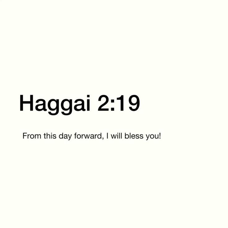 Bible Daily tweet media