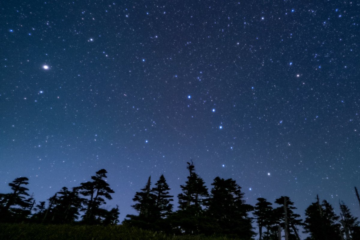 fdlice213's tweet photo. 見上げれば北斗七星輝いてあなたとふたり天空へ飛ぶ

#短歌写真部　#短歌　#NHK短歌 #短歌写真 https://t.co/Wg9XlQkOUr