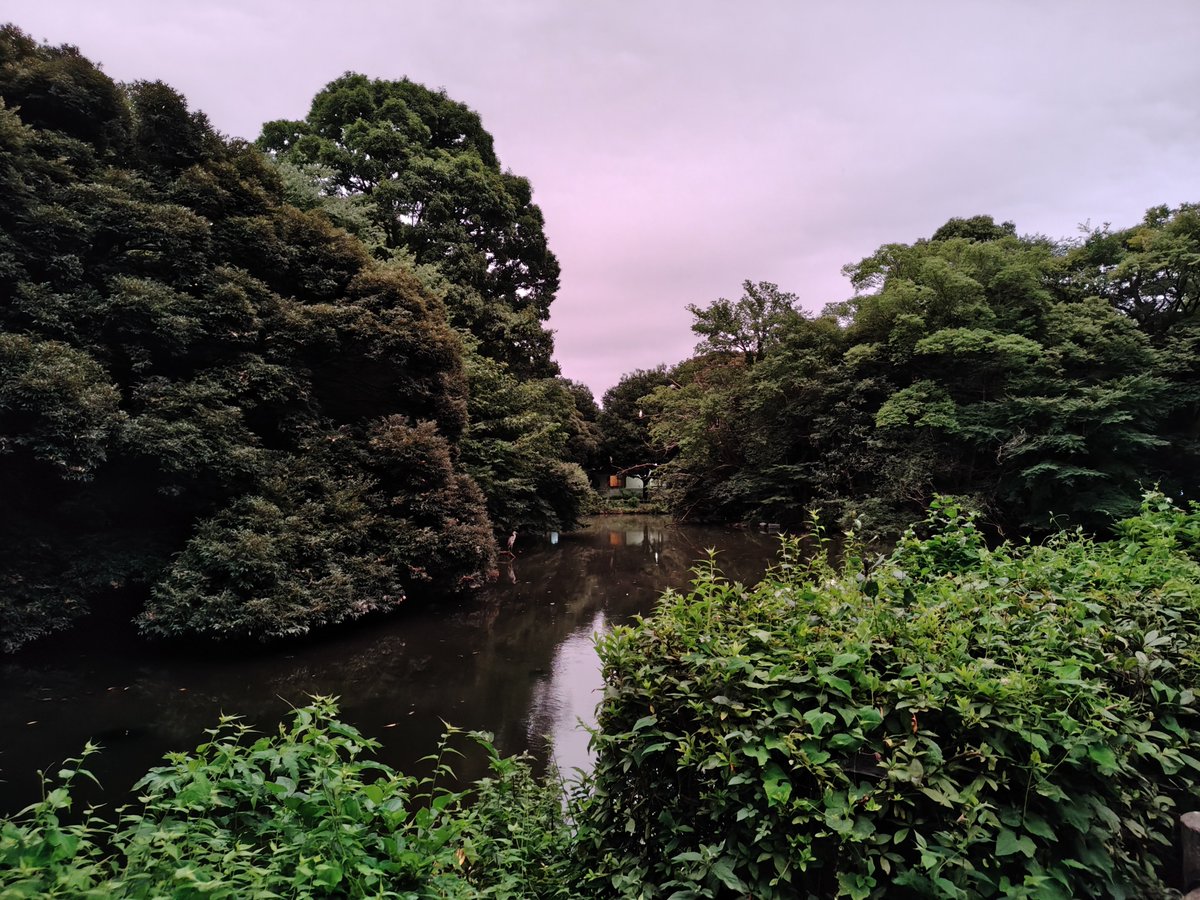 hide50993679269's tweet photo. 風が出て気温が低下してきたので、雷の音ガ鳴り響くなか、蝉が大合唱の
和田堀公園の池まで夕刻ランニング🏃
#週末ランナー#週末ランニング#ランニング#和田堀公園 https://t.co/3jjhPeNg7L