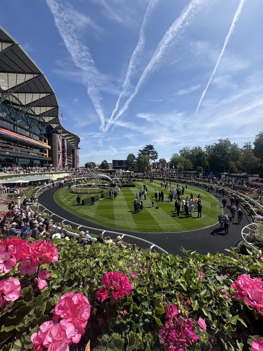 CJSAND97's tweet photo. Great to be at @Ascot, which means i’ve now attended every course in Great Britain. https://t.co/ZIkIDEhHCF