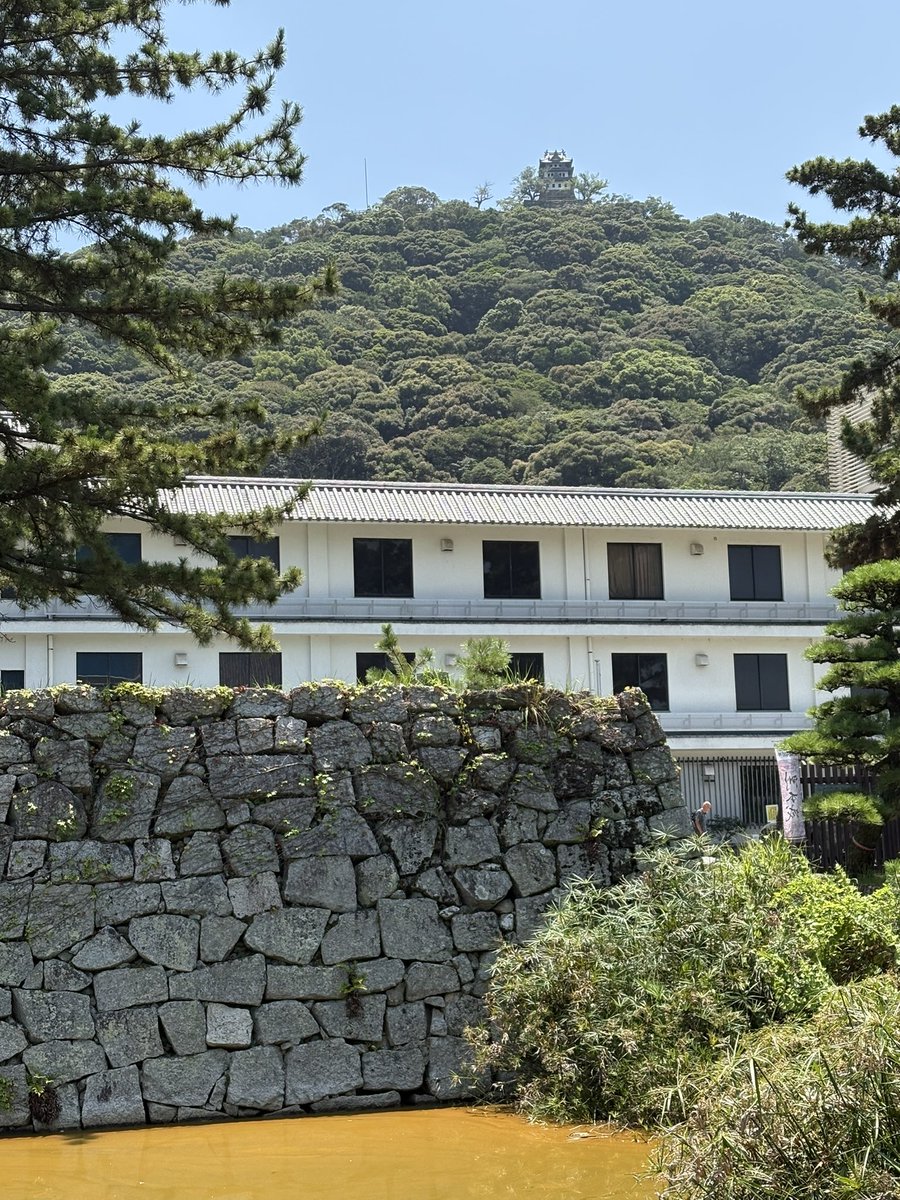 Yoshida_Sumoto's tweet photo. 【洲本城築城500年記念特別展　講演会②】
◆「織豊城郭石垣と洲本城」と題して、熊本博物館の下高大輔学芸員のご講演を聴講
➊下高先生の結論
従　来：脇坂時代の石垣が大半
新知見：蜂須賀（稲田）時代の石垣が大半
※ただし、縄張りは、あくまで脇坂時代
❷その理由
①他城郭でも初期石垣の改修・積み直しが一般的
②石材の再利用・転用の痕跡
から、脇坂時代の石垣が残る可能性は低い
❸蜂須賀（稲田）時代の大規模石垣維持管理
①上の城は廃城扱いであるのに、1802年、徳島藩は詳細な絵図（測量図）を作成
②これは石垣等の維持管理のためと考えられ、異例の維持管理規模。さらに研究を進めるべき
―――――――――――――――――
▪石垣に特化した内容ですが、それでも、まだまだ解明されていないことが多いです。
▪登り石垣については、韓国に残る文禄・慶長の役の倭城（脇坂安治が築城との説）との関連性のお話もあり、歴史ロマンを掻き立てられます。

◆５月の武田信一先生の「洲本城主・脇坂安治の出世話」
◆先々週の浦上雅史宮司の「洲本城国指定までの道のり」
を経て、洲本城への理解と謎が更に深まりました。
下高先生、ありがとうございます。
洲本城の今後の調査研究が楽しみです。関係者の皆様の取組に敬意を表します。