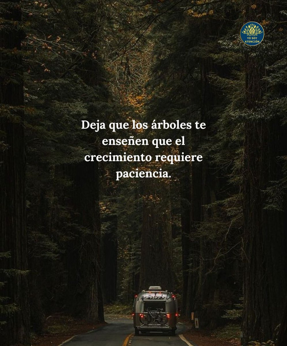 AtencionYoSoy's tweet photo. 👉🏻❤️ https://t.co/pG7yfnnZv6