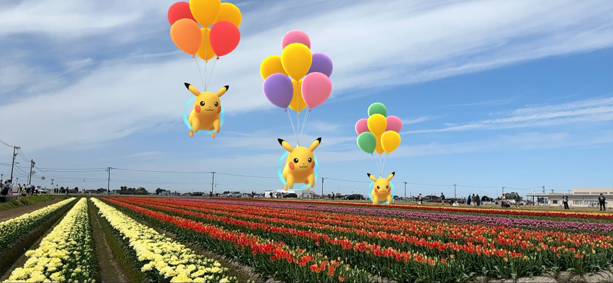 MT@えむとら? tweet media