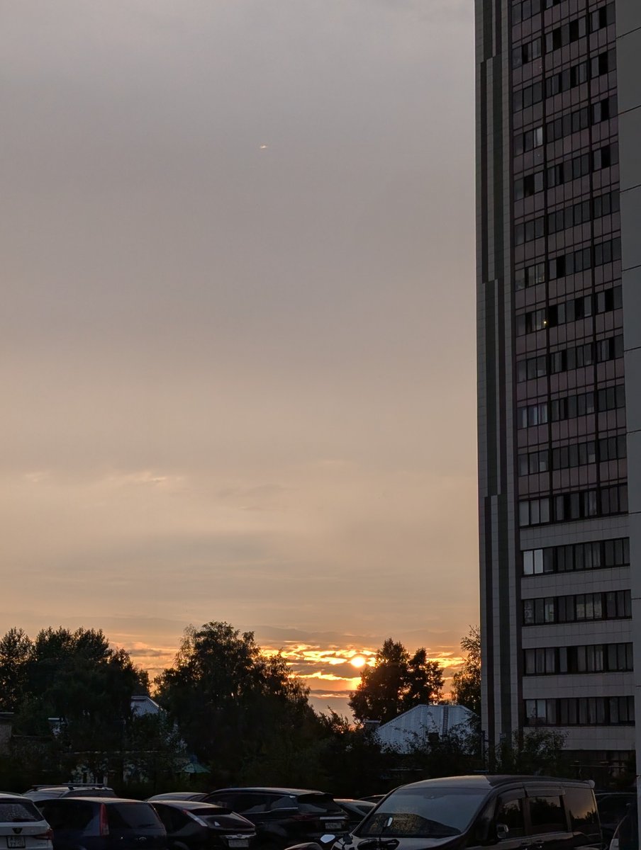 Мейола 🤍🕊️ tweet media