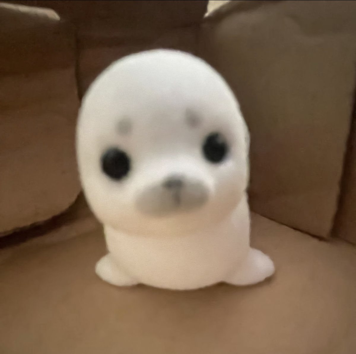 houhuima's tweet photo. 有点小肚子的好处就是躺着的时候可以拍拍自己肚皮，假装自己是一只海豹悠闲地躺在沙滩上晒太阳，这样心情就会好一点🦭 https://t.co/6bESJqt1Io