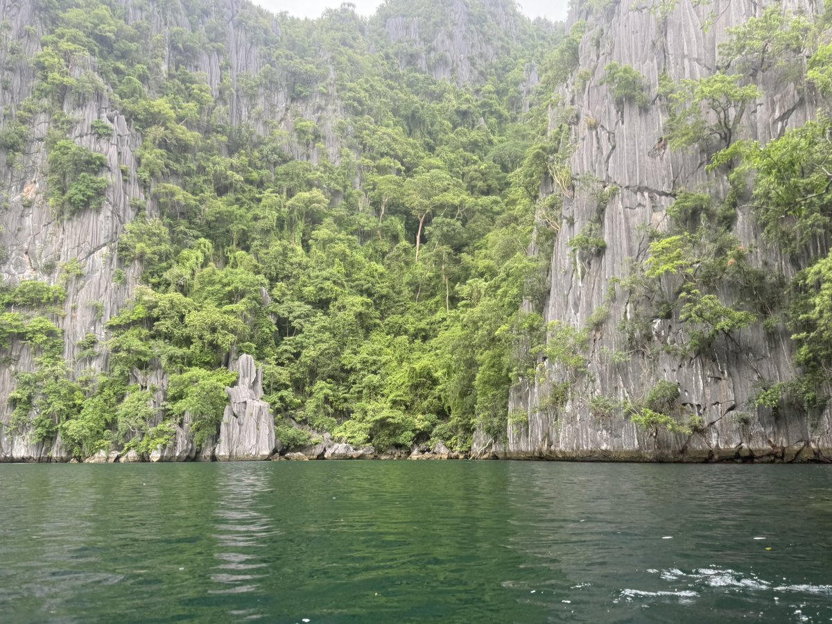 laenguyn's tweet photo. le biome de folie les îles phillipines !! https://t.co/JTfTvp6Nbs