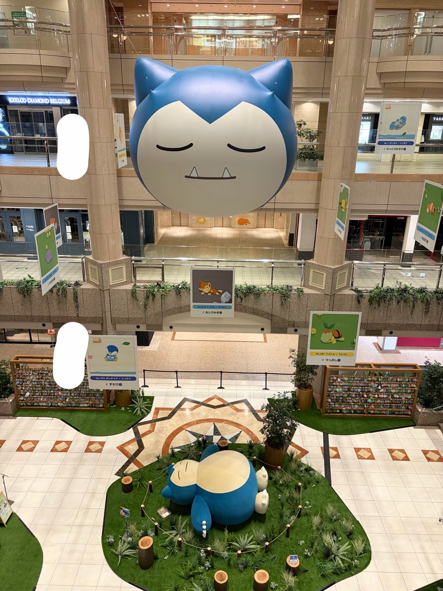 mipyh's tweet photo. あとポケモンのあれこれもしてきた https://t.co/UVjCKj1RZf