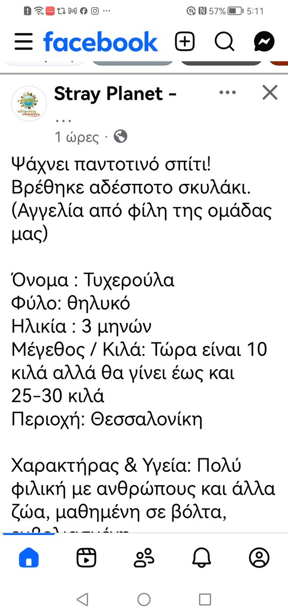 Christinalirou2's tweet photo. ‼️🆘‼️🆘‼️🆘‼️🆘‼️
Νάουσα
Προοριζόταν για ευθανασία κ οι εθελοντές την πήραν την ονόμασαν Τυχερουλα κ της υποσχέθηκαν μια οικογένεια. Κοινοποιούμε παιδιά μήπως βρεθεί οικογένεια που θα την αγκαλιάσει. https://t.co/4IvdEVVppc