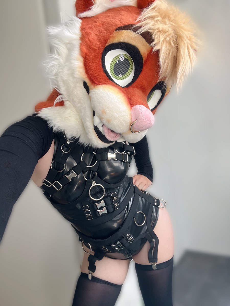 SnackieDingo's tweet photo. What do you think of buckles and straps??? https://t.co/6FcC4C1YLl