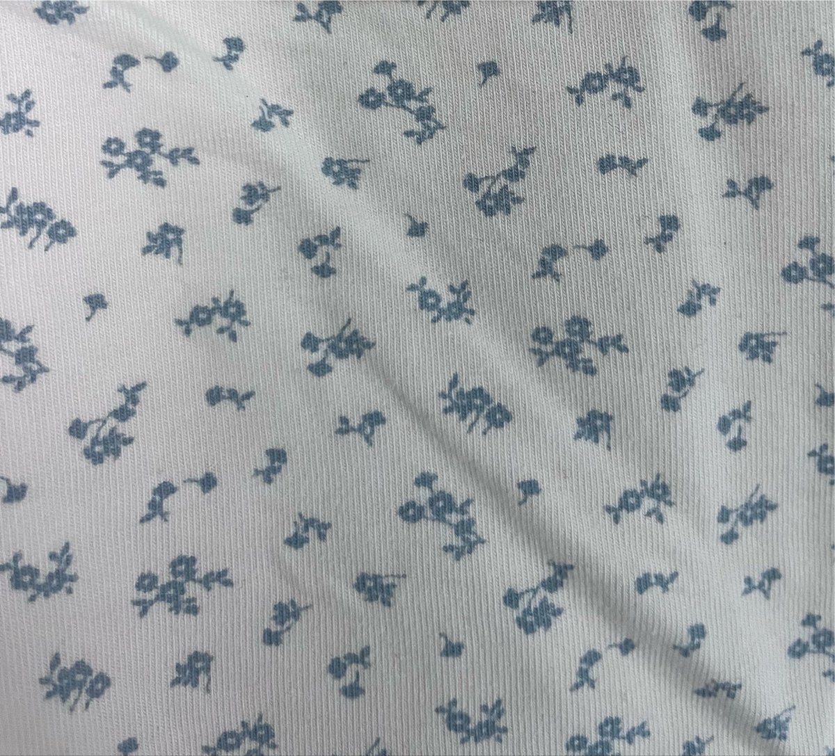 e_verythingb's tweet photo. Brandy Melville floral top🪽
สีครีม ลายดอกไม้จิ๋วฟ้า
  
              one size ราคา 460 ฿

#ส่งต่อbrandy #brandymelvillethailand 
#brandymelville https://t.co/pNKupJizmo