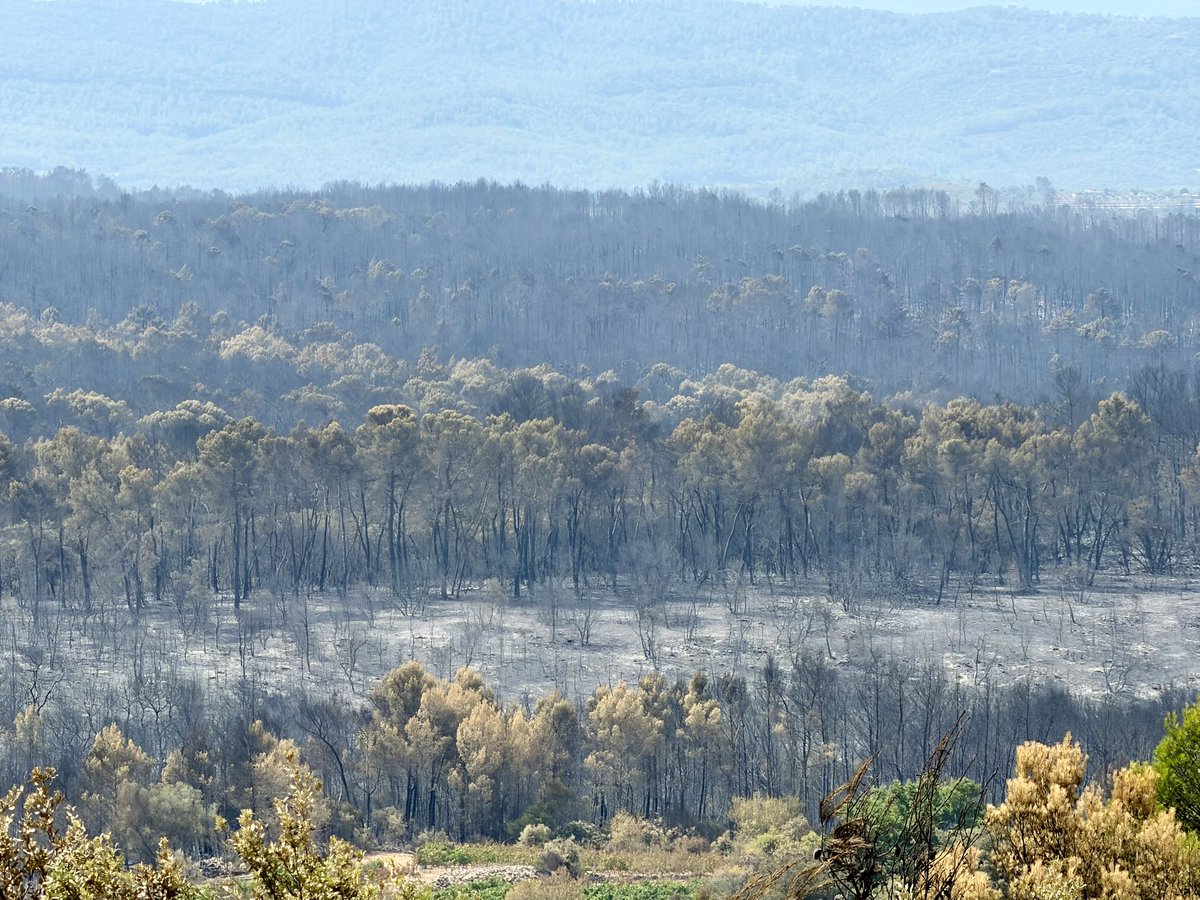 davidlisnard's tweet photo. En direct de Ponteves, où l’incendie repart violemment, après Cotignac, en soutien aux maires, habitants, pompiers, protection civile et tous les bénévoles mobilisés. 
Le diagnostic est posé depuis l’été 2022 : commissions, rapport du Sénat, propositions des forestiers; les solutions sont connues. Il faut agir sur les trois temps du feu : avant, pendant, après.

La prévention bute sur cinq verrous.

Premier verrou : la contradiction de l’État avec lui-même. Le code forestier impose le débroussaillement, le code de l’environnement le limite au nom des espèces protégées. L’arrêté du 29 mars 2024 présumait les débroussaillements conformes non attentatoires à ces espèces, mais le Conseil d’État, le 6 février 2026, a jugé qu’une dérogation reste nécessaire en cas de risque caractérisé. Il faut sécuriser juridiquement les propriétaires et consolider par la loi la présomption de conformité.

Deuxième verrou : les moyens des maires, qui assument la police du débroussaillement et la défense incendie parfois sans ingénierie technique, et pour qui créer une réserve d’eau coûte souvent plus en études qu’en travaux. Le modèle des Alpes-Maritimes (ingénierie mutualisée à l’échelle départementale) doit se généraliser, tout comme l’arrêt de l’urbanisation diffuse aux interfaces habitat-forêt.

Troisième verrou : le financement. Les SDIS (services départementaux d’incendie et de secours, financés par les départements et les intercommunalités) manquent de ressources propres, alors qu’une part de la taxe sur les conventions d’assurance (environ 1,1 milliard d’euros) va à la CNAF plutôt qu’aux départements. Le Parlement a préféré créer une taxe nouvelle sur l’assurance auto plutôt que flécher autrement l’existant. Il faut l’inverse : aucun impôt supplémentaire, mais la réaffectation de ce qui est déjà collecté.

Quatrième verrou : une sanction inappliquée. 90 % des maisons détruites étaient sur des terrains mal débroussaillés, mais l’amende de 50 €/m² reste théorique. À défaut, l’assurance peut faire ce que la loi n’a pas fait, en conditionnant primes et franchises à la conformité.

Cinquième verrou : les incendiaires. 90 % des feux sont d’origine humaine. Fauchage des bords de route, extincteurs obligatoires, interdiction réelle d’accès aux massifs à risque extrême : l’administration contrôle plus les travailleurs légaux que les imprudents. En Gironde, le parquet de Bordeaux a requalifié des infractions en mise en danger de la vie d’autrui. Cette fermeté doit devenir la norme.

La lutte se joue dans les premières minutes, avec l’eau au bon endroit. Or, on puise encore dans l’eau potable de communes rurales sous-dimensionnées. Il faut un plan de stockage pluriannuel et la réduction du recours à l’eau potable. Les moyens aériens (du ressort de l’Etat) resteront insuffisants avant 2028, la flotte ne passant de douze à seize appareils qu’en 2033 : l’effort des prochaines saisons se joue donc au sol.

La reconstitution est le grand oublié : une forêt brûlée devient source de carbone plutôt que puits, et pénaliser le renouvellement forestier en pleine sécheresse, c’est préparer les incendies suivants.

Les forestiers ne demandent pas des milliards, mais du bon sens : une piste DFCI n’est pas une blessure à la nature, un débroussaillement raisonné n’est pas un recul écologique. La vraie menace pour la biodiversité et le carbone, c’est le feu. Le feu, lui, ignore les délais de recours et les études d’impact. À chaque niveau, les moyens de ses obligations ; et à l’État, sa mission première : sanctionner ceux qui détruisent, non entraver ceux qui protègent.